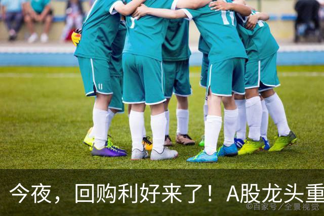 今夜，回购利好来了！A股龙头重磅出手