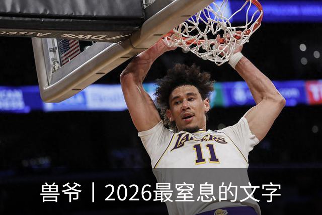 兽爷丨2026最窒息的文字
