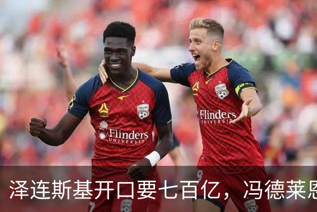 泽连斯基开口要七百亿，冯德莱恩秒点头，但这笔钱能不能到账得看巴黎和柏林签不签字