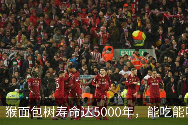 猴面包树寿命达5000年，能吃能喝又能住，为何引进中国却大变样？