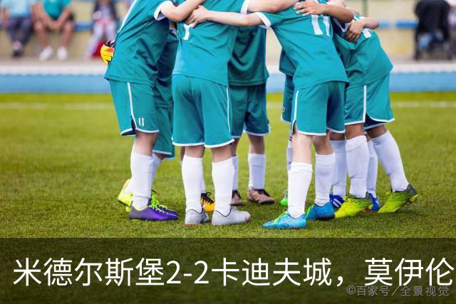 米德尔斯堡2-2卡迪夫城，莫伊伦破门，威尔-兰克希尔救主