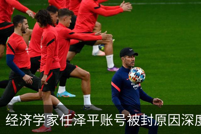 经济学家任泽平账号被封原因深度分析