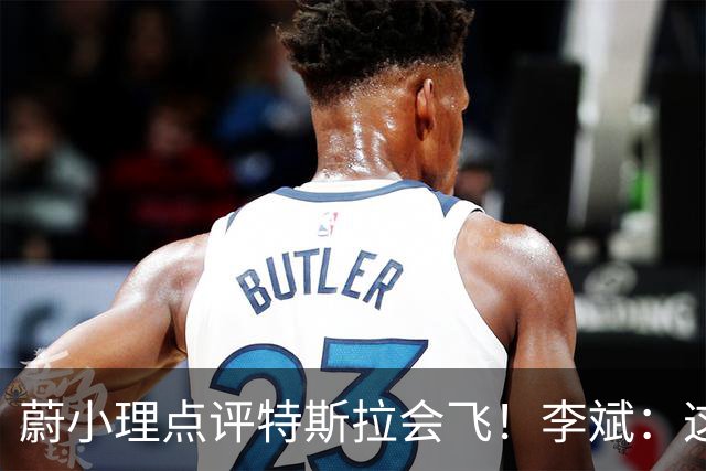 蔚小理点评特斯拉会飞！李斌：这个我们真没有 理想高管：面目全非