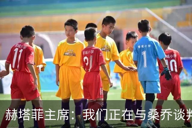 赫塔菲主席：我们正在与桑乔谈判，如果可行就会尝试签下他