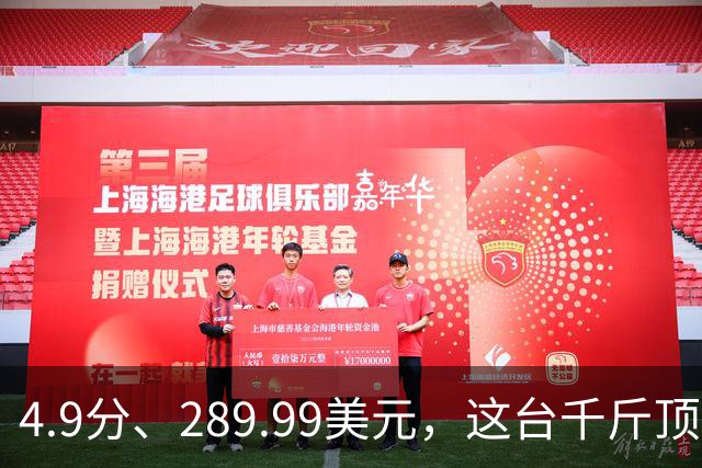 4.9分、289.99美元，这台千斤顶多了白色拉花